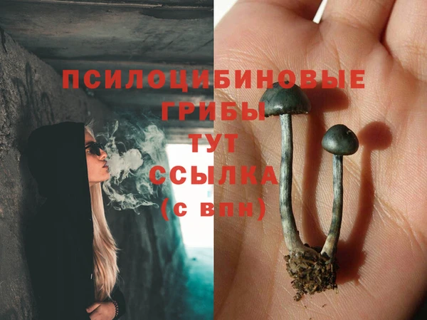амф Абаза
